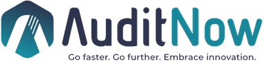 AuditNow